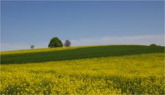 Blau-gelb-grün