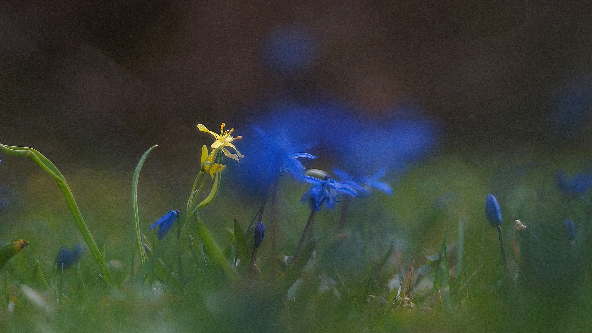 Blau-Gelb-Kontrast