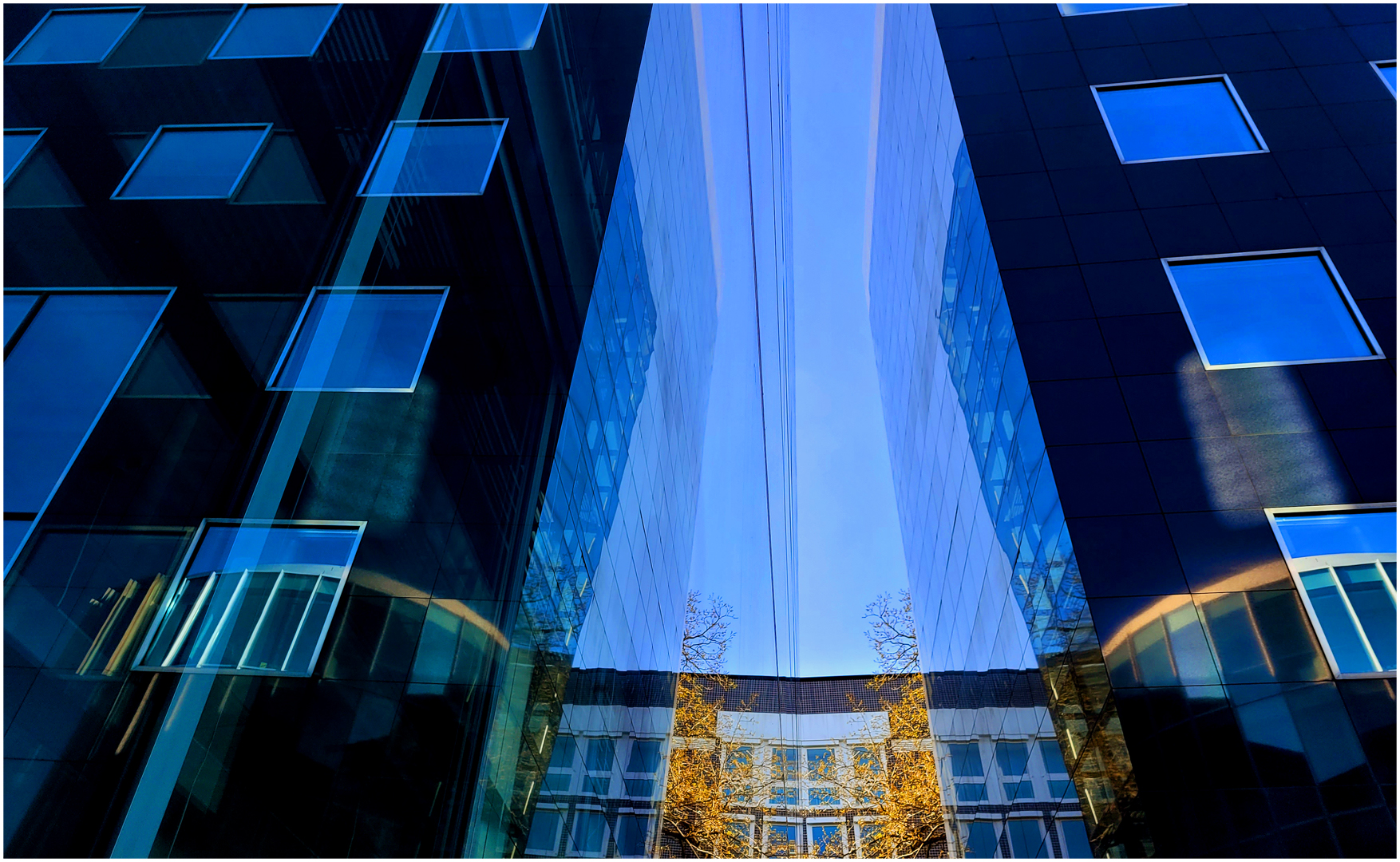 Blau-gelber Frühling in der Stadt