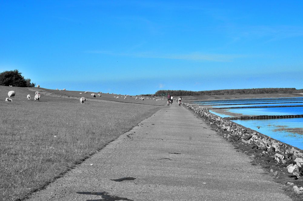 blau-grau am Seedeich