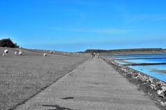 blau-grau am Seedeich