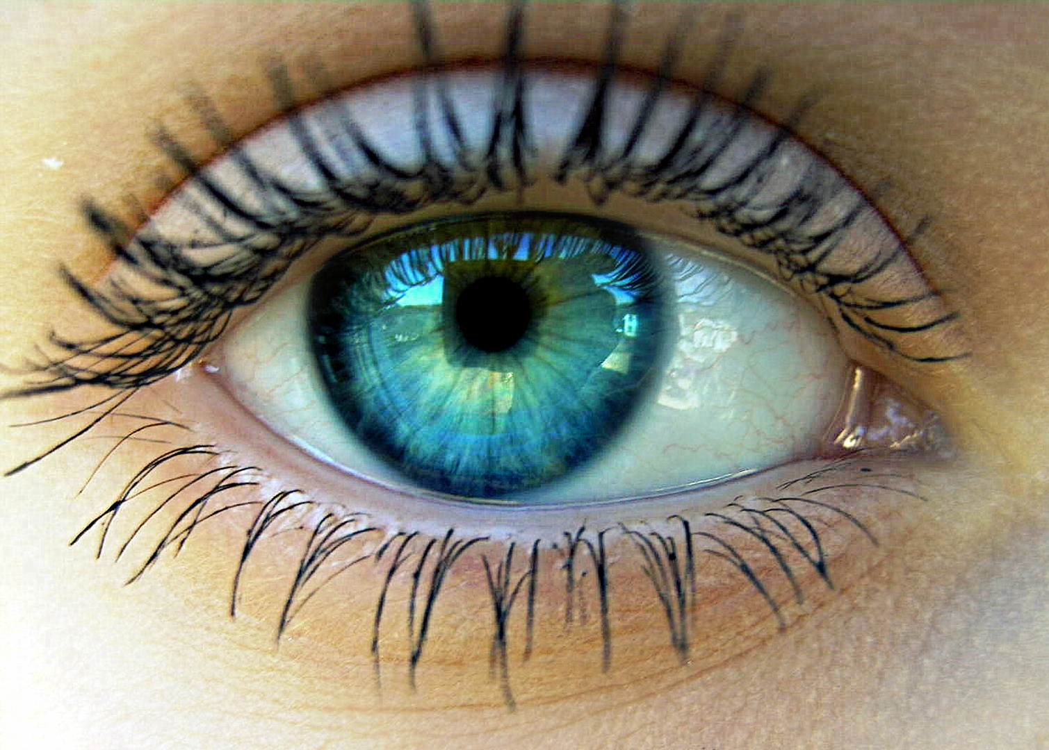 Blau Gr n Foto Bild fotos von teilen des gesichts Blau Gr n Foto Bild fotos von teilen des gesichts