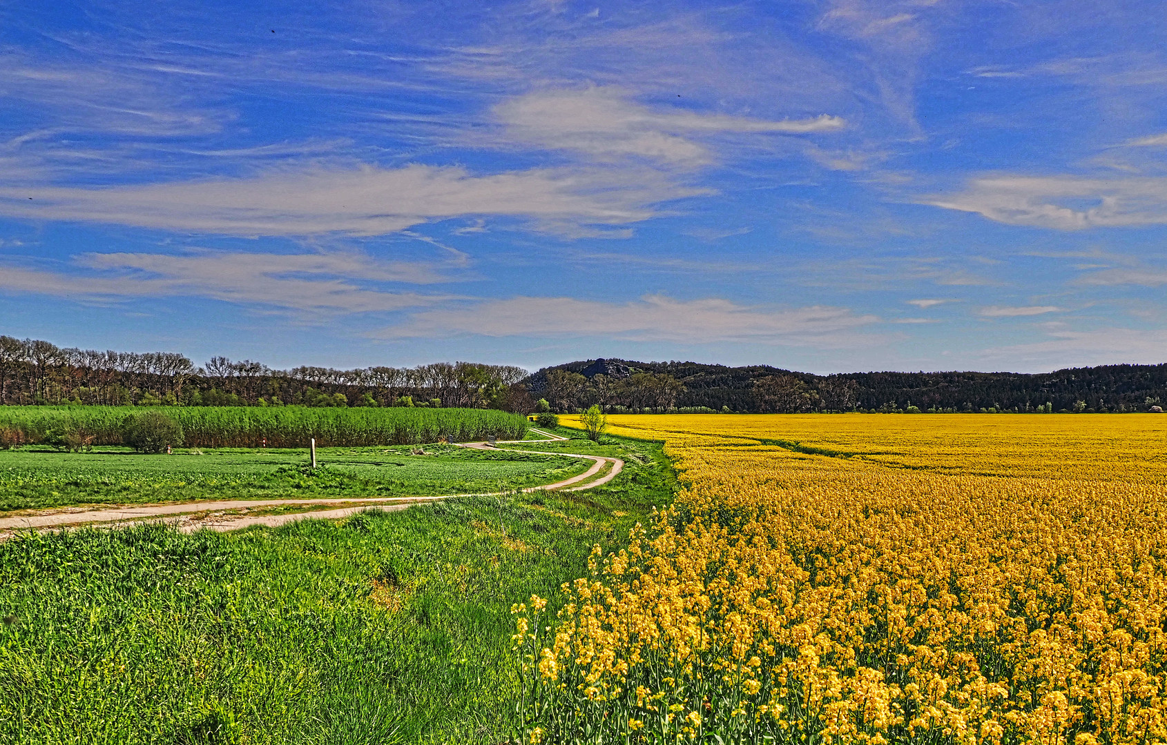 Blau , Grün , Gelb 