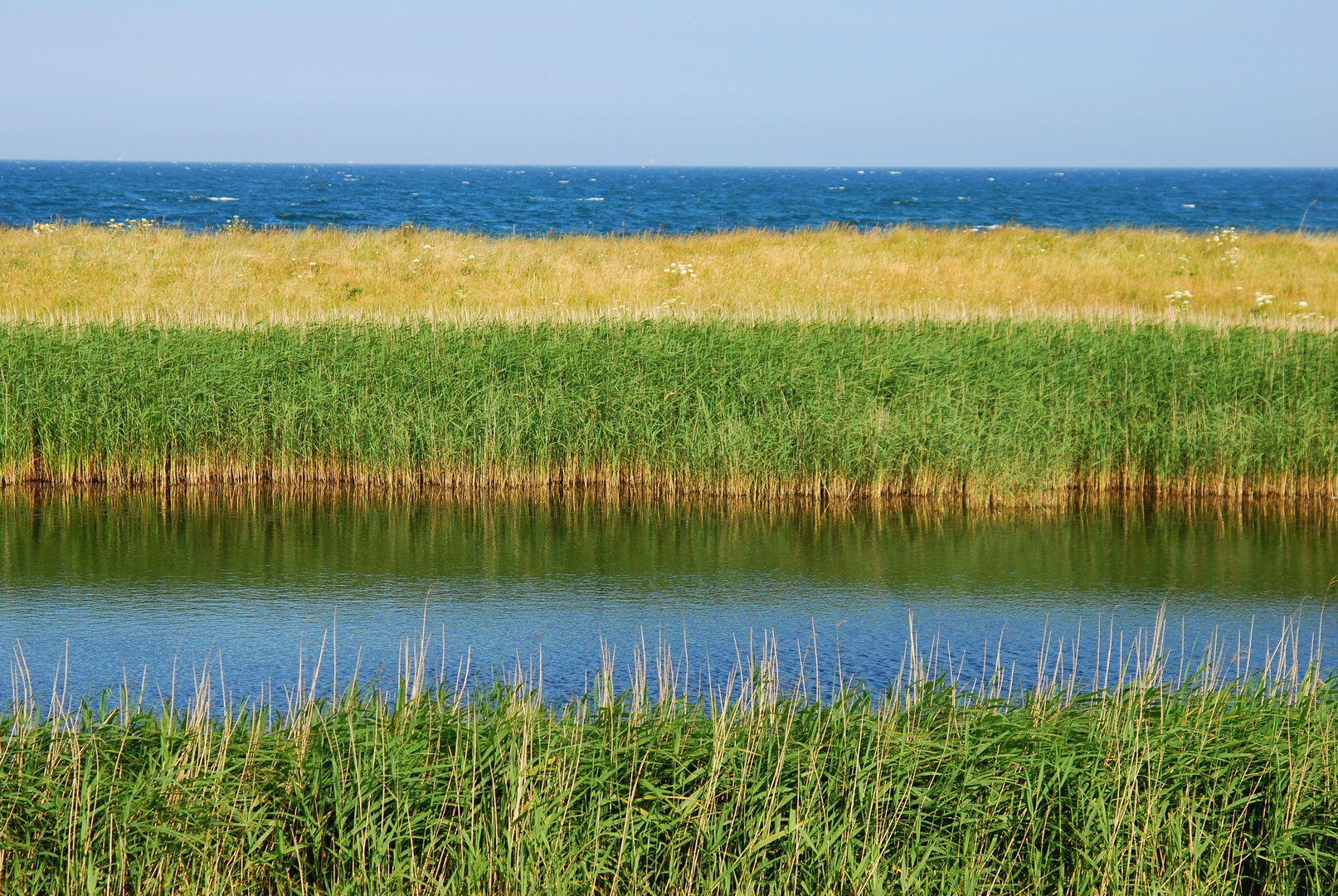 Blau-Grün-Gelb-Blau-Grün