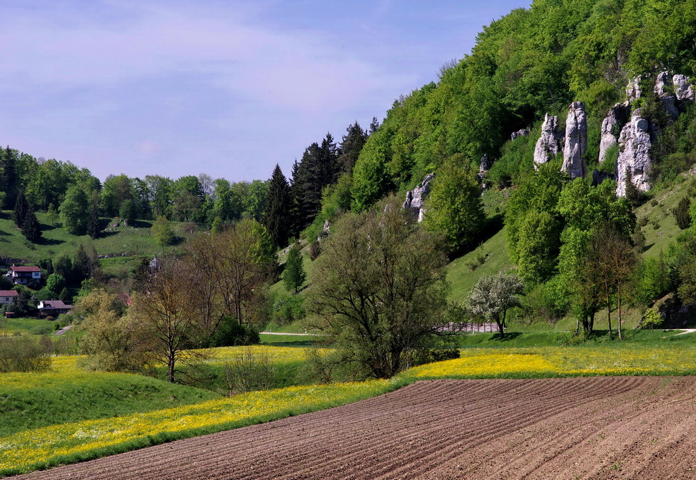 blau, grün, gelb und  braun