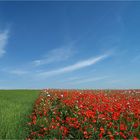 ...blau - grün - rot....