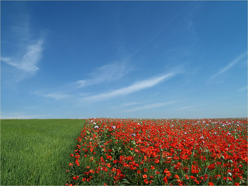 ...blau - grün - rot....