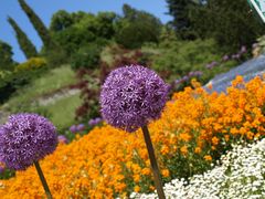 blau / grün / violet / orange / weiß