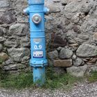  BLAU HYDRANT