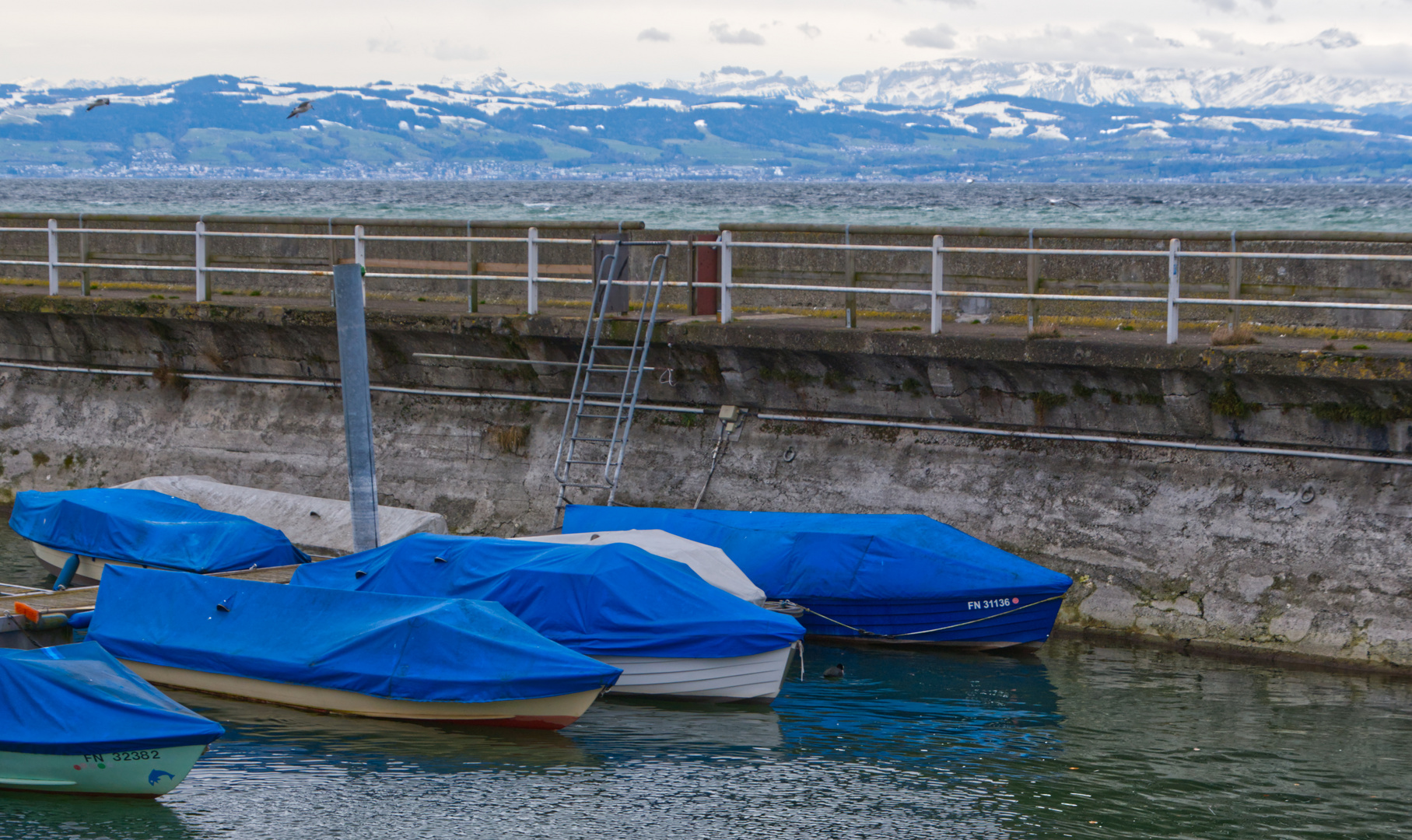 Blau im Hafen