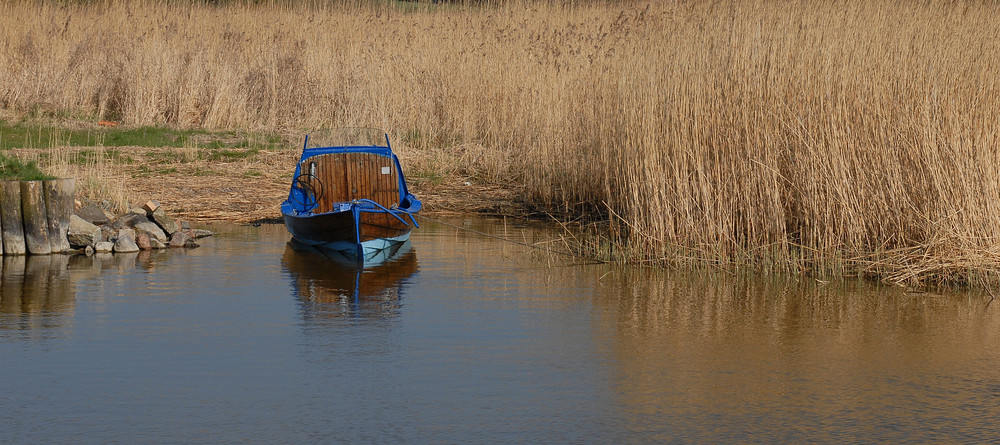 blau im haff