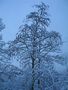 Blau im Schnee von Vincent Kocher