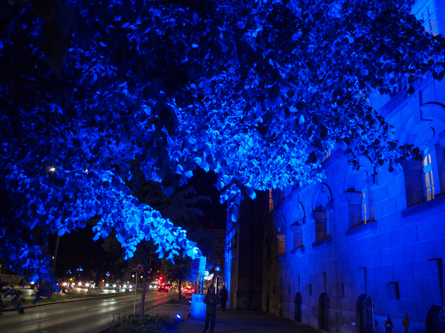 Blau in der Blauen Nacht