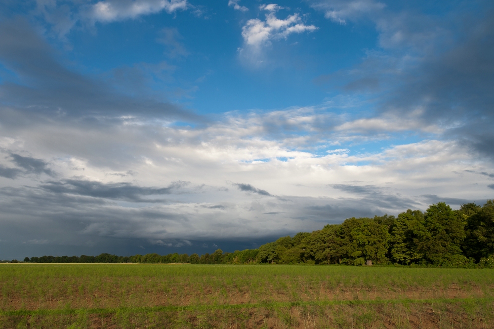 Blau in Weiß