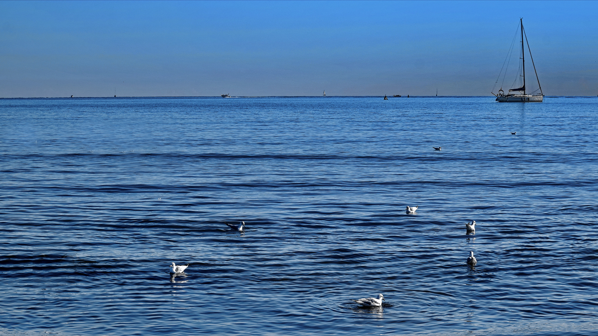 Blau ist das Meer