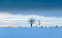 Blau ist die Stunde, grün ist die Heide...