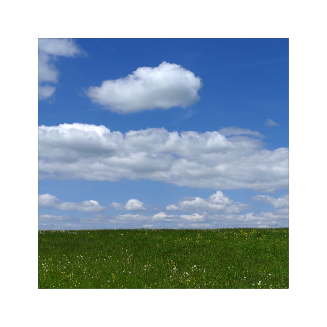 Blau Machen Foto Bild Jahreszeiten Fruhling Quadratisch Bilder Auf Fotocommunity