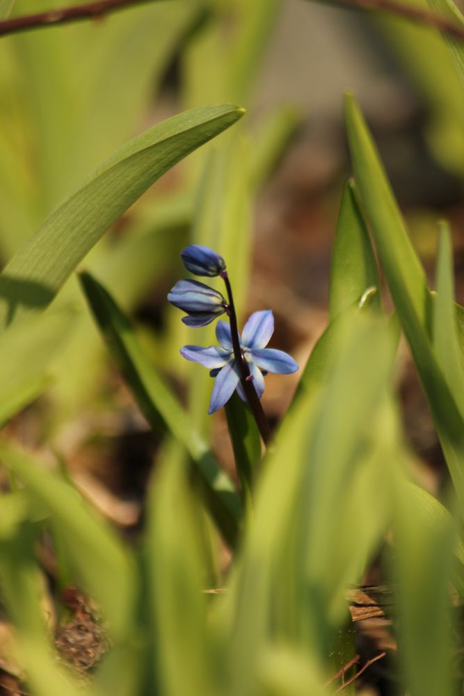 ...blau macht glücklich