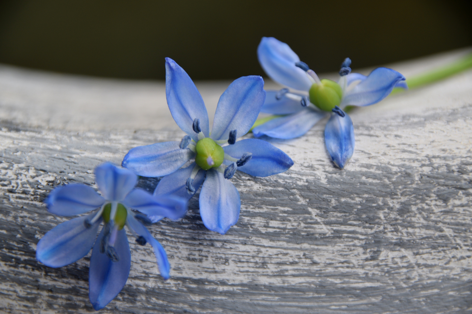 blau- meine lieblingsfarbe