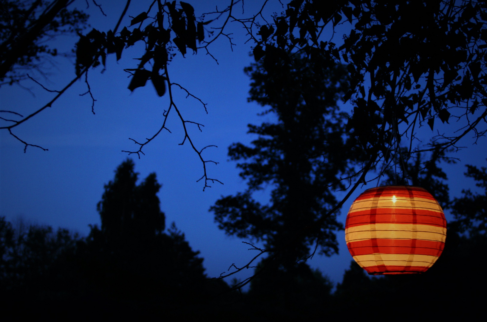 Blau mit Lampion