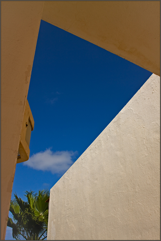 Blau mit Palme