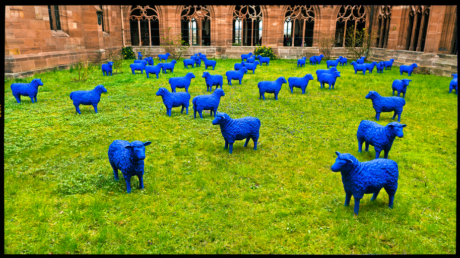 Blau - Münsterhof Basel