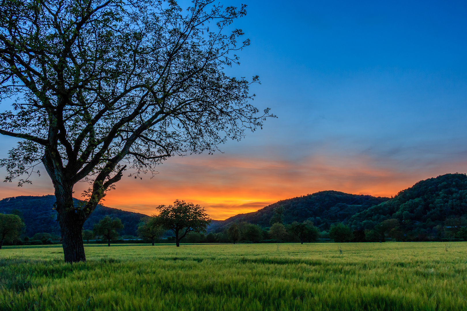 Blau, Orange und Grün