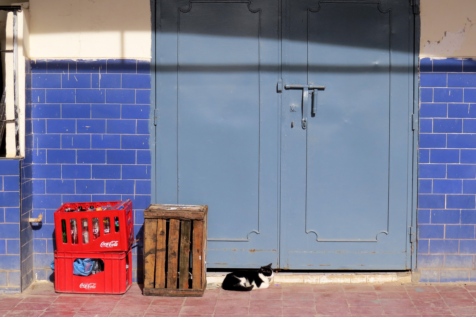 Blau-Rot-Braun mit Katze