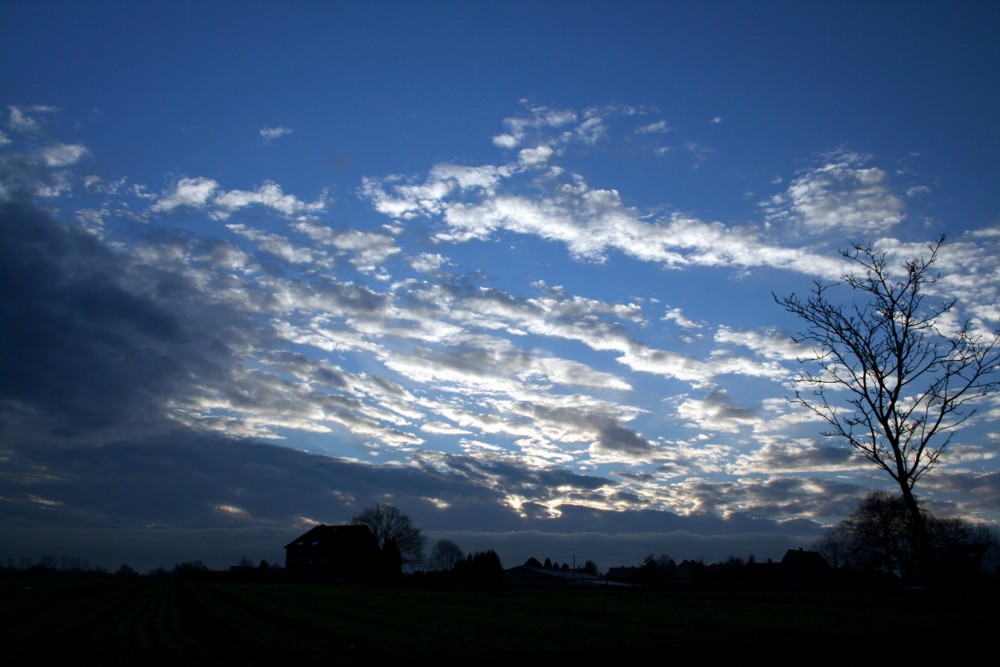 [ blau-schwarz ]