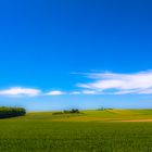 Blau trifft Grün