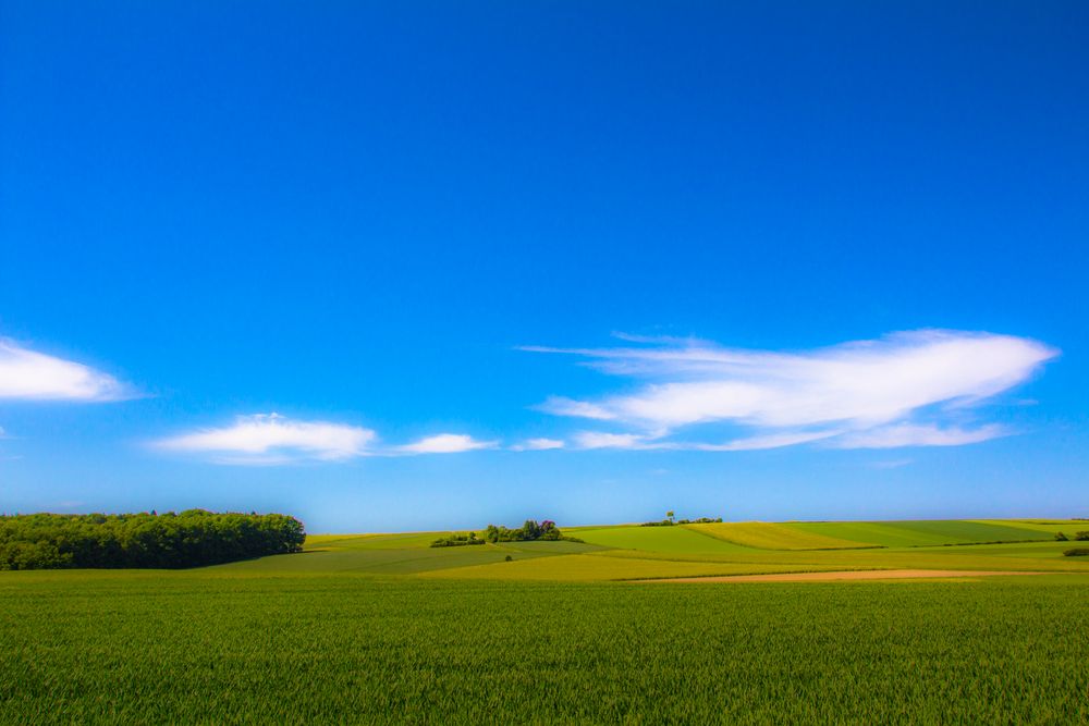 Blau trifft Grün