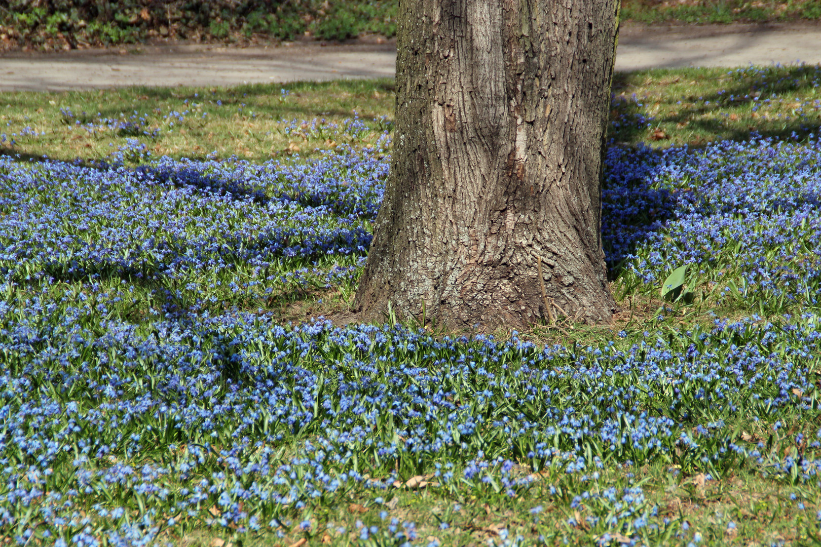 Blau umrandet