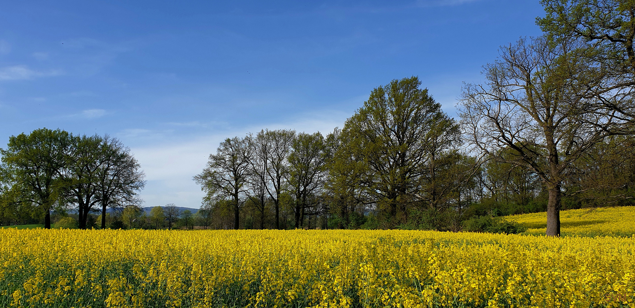 Blau und Gelb- die Nationalfarben der Oberlausitz