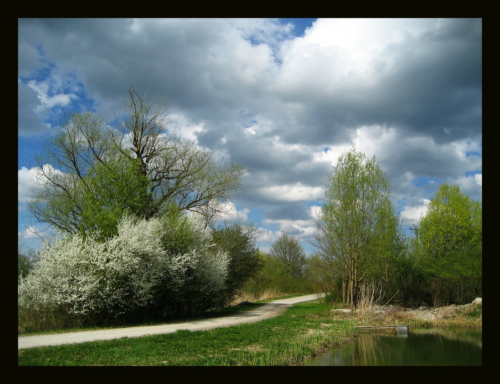 Blau und Grün