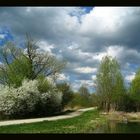 Blau und Grün