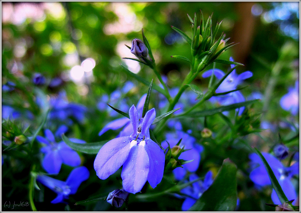 Blau und Grün