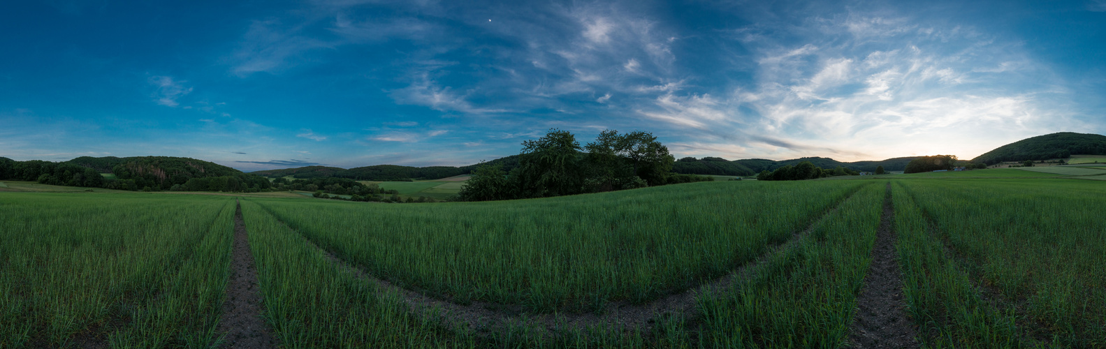 Blau und Grün