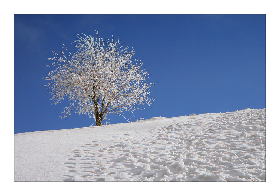 Blau und Weiss