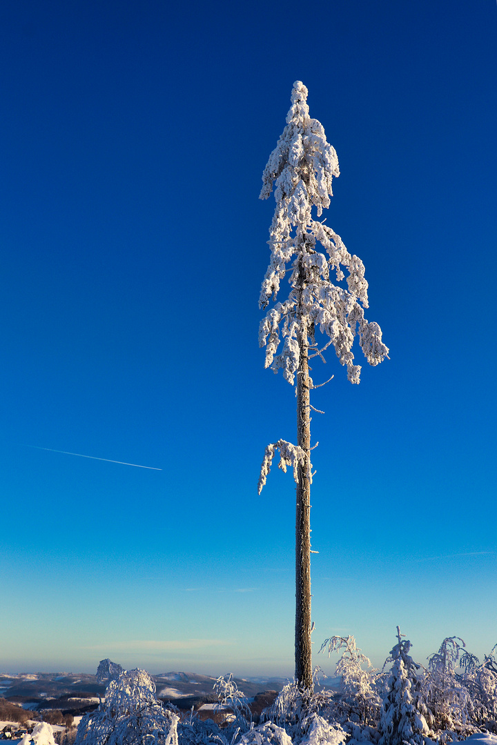 Blau und weiß