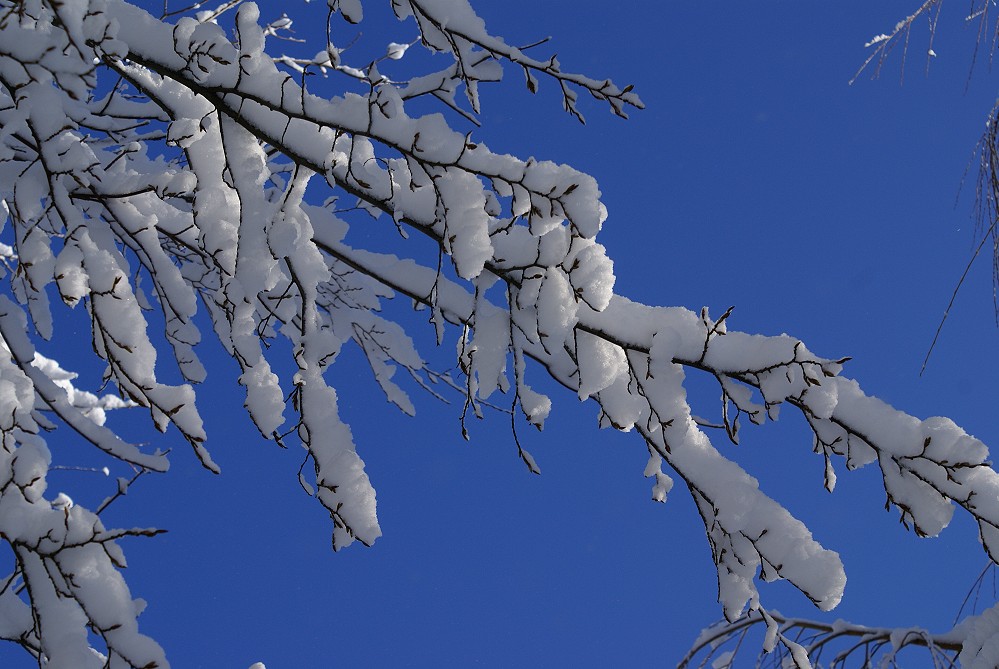 Blau und weiss