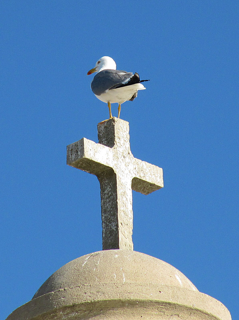 Blau und Weiß, die Farben der Algarve (Portugal), Bild 3