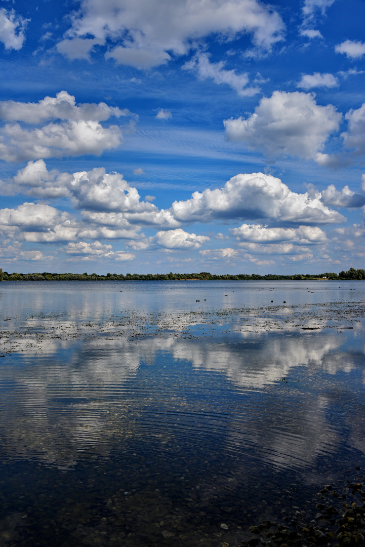 blau und weiß