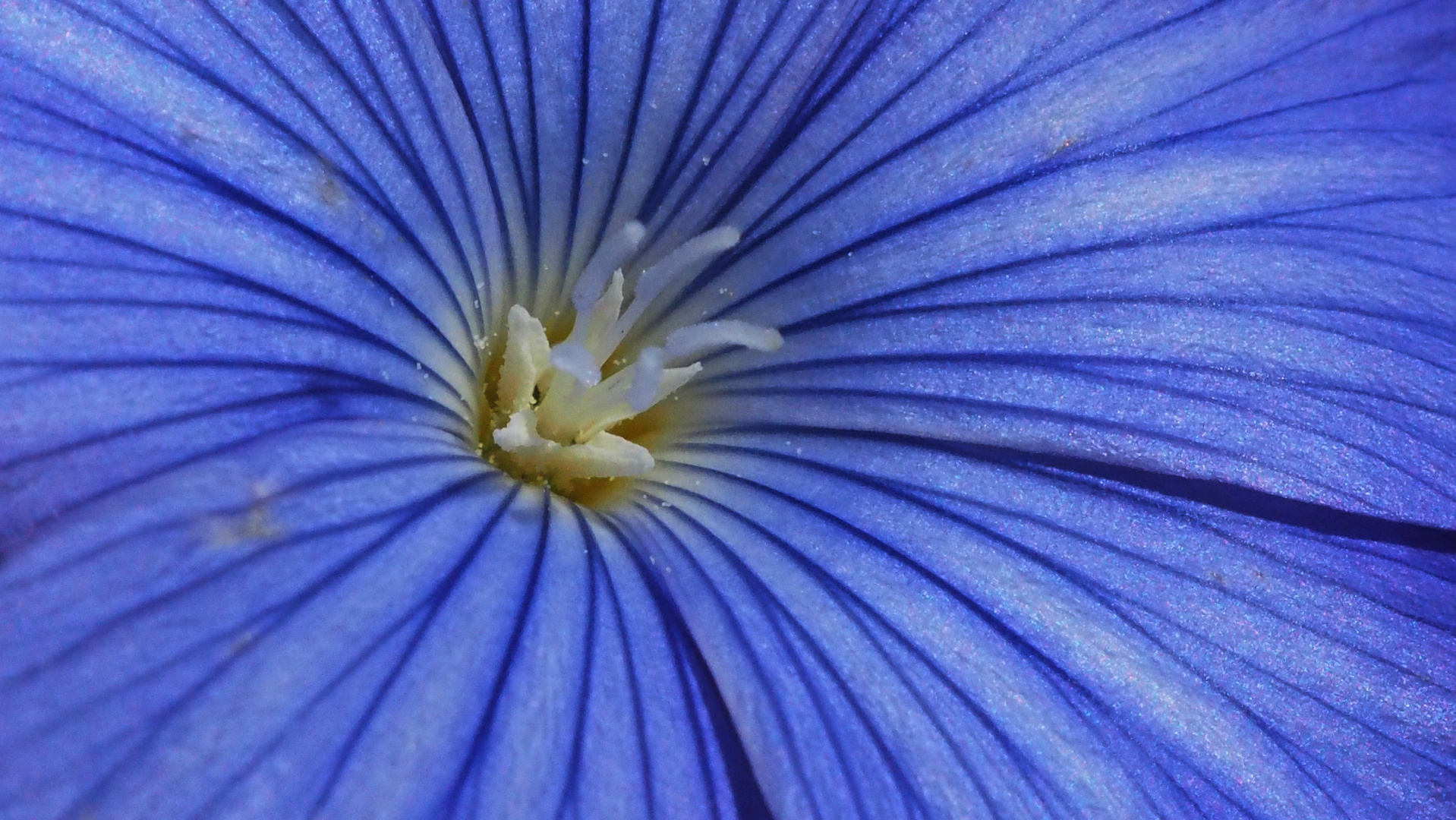 blau und weiss ...