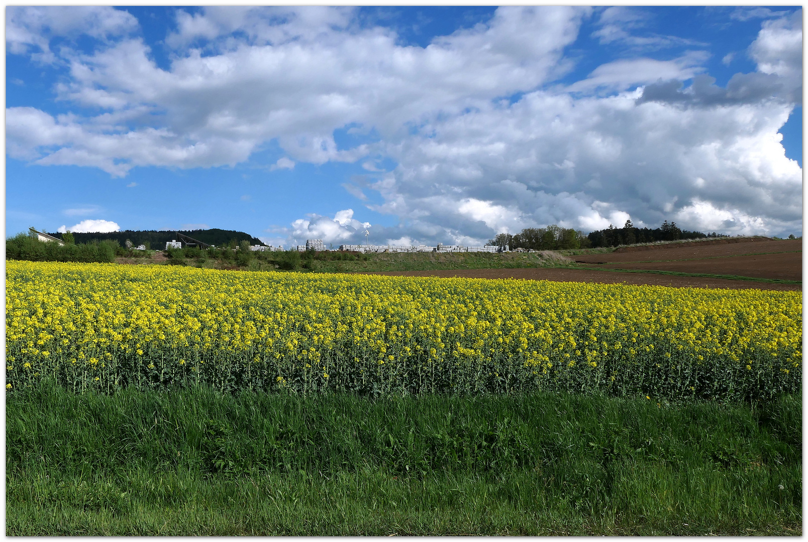 blau-weiß