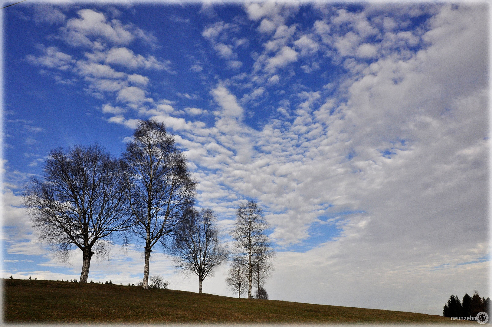 blau-weiß