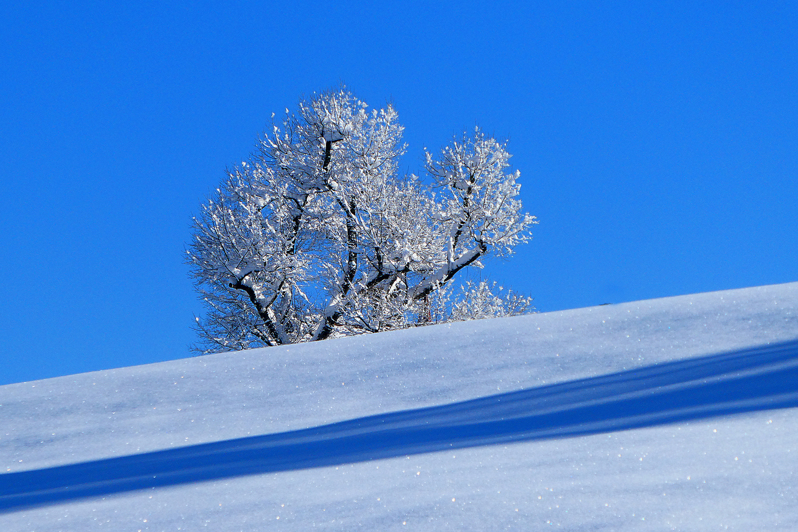 blau - weiss