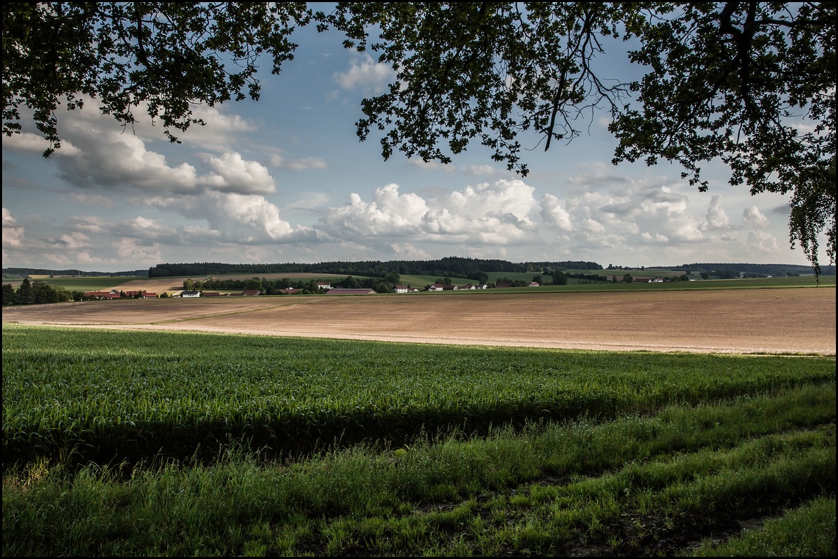 Blau-Weiß...