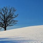 Blau-Weiß