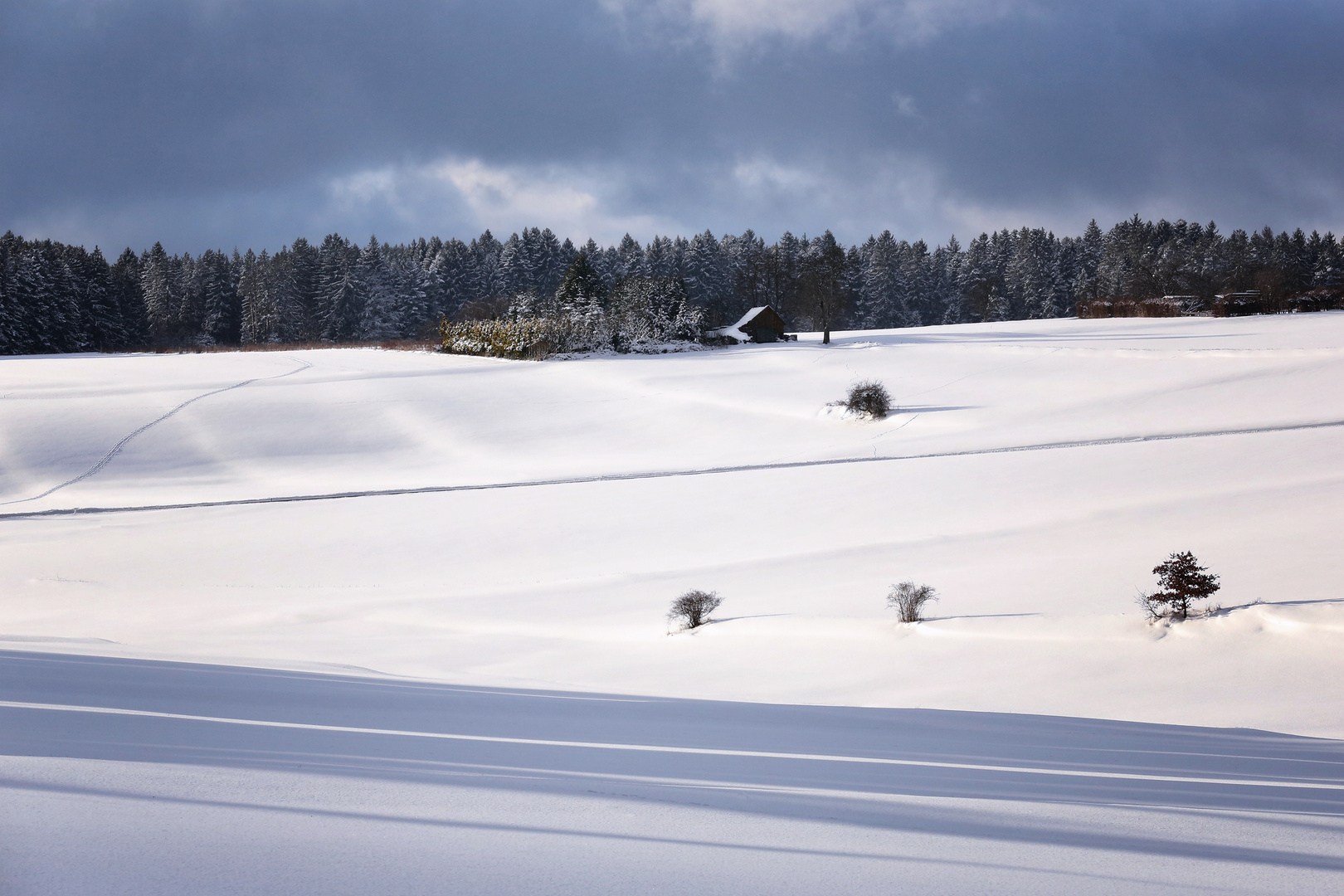 Blau-weiss