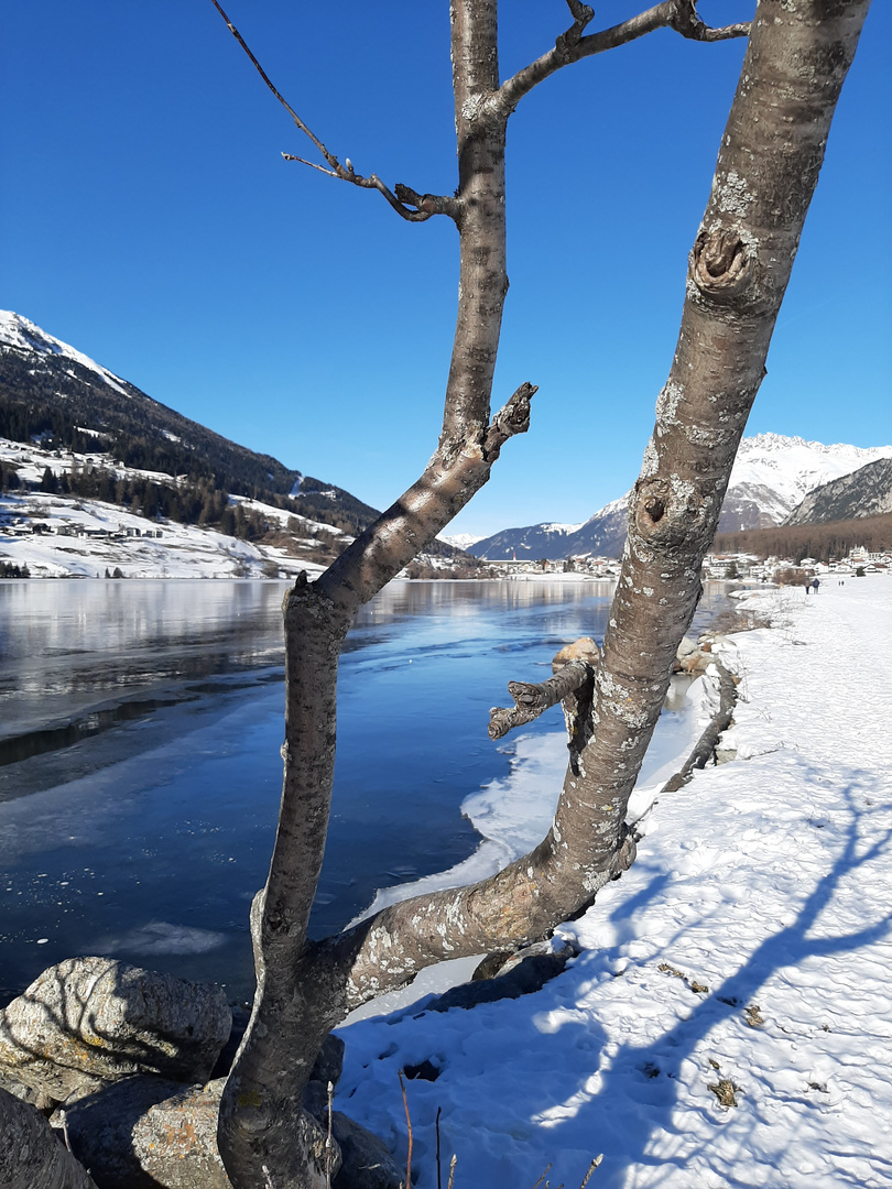 Blau / weiß